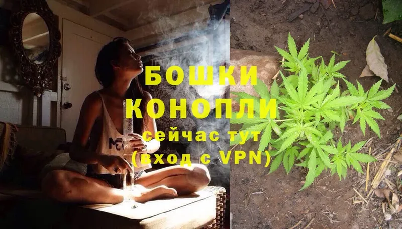 купить   Тетюши  Бошки марихуана OG Kush 